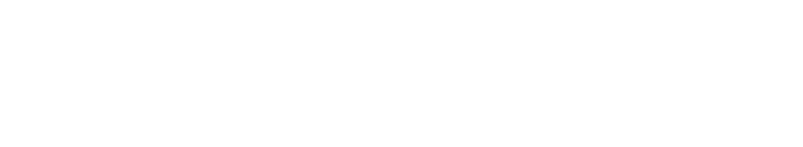 SWNS Logo